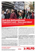 Nach dem Waffenstillstand: Organisiert euch – Gaza muss leben!